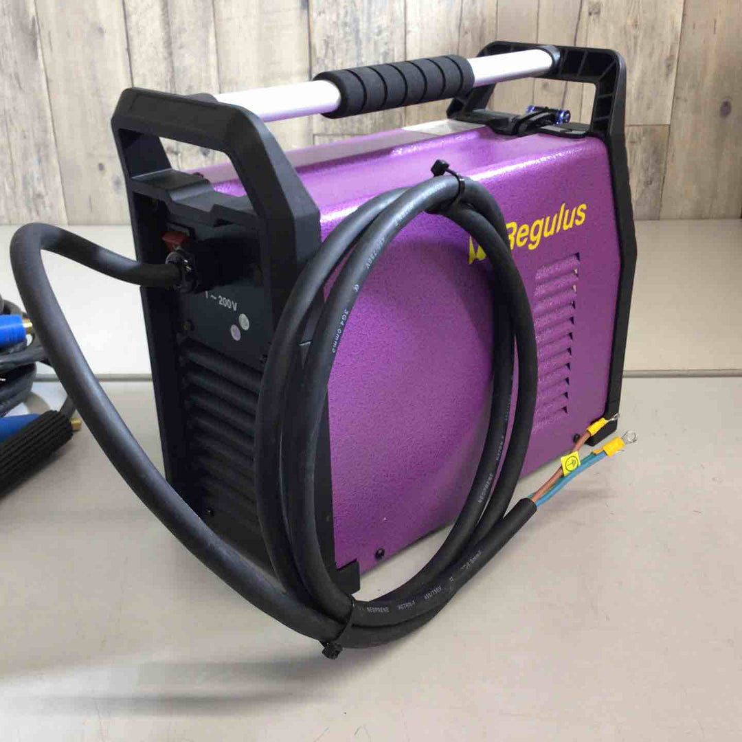 レグルス 直流溶接機 RAA-200D (アース5m・ホルダー10mJ付)【戸田店】