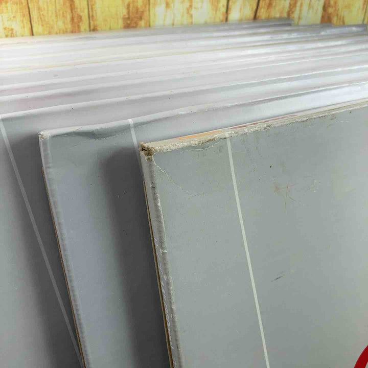 ▼エレクトロラックス・ジャパン ACTIVE ONE 乾式ダイヤモンドブレード 305mm【10枚セット】【川崎店】