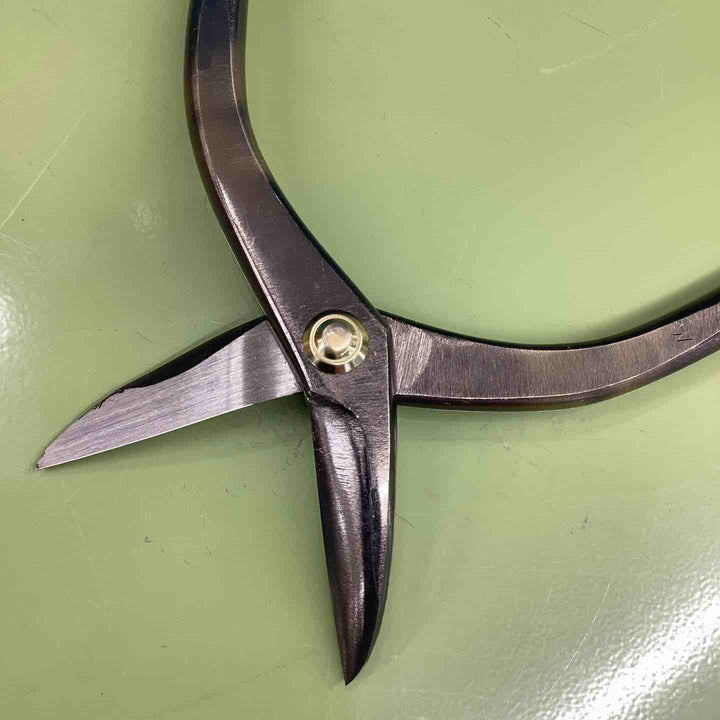 種光 特選 270mm スーパーハードホワイト SLD 金切鋏【越谷店】