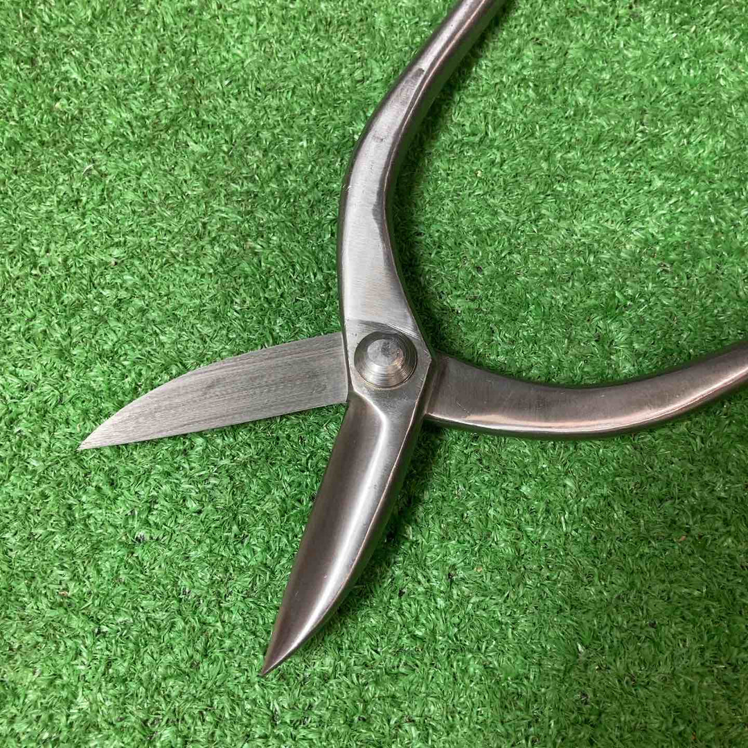 【未使用品(店頭展示品)】◇盛光 盛光 切箸 寿直刃 ２４０ｍｍ HSKO-0024【岩槻店】