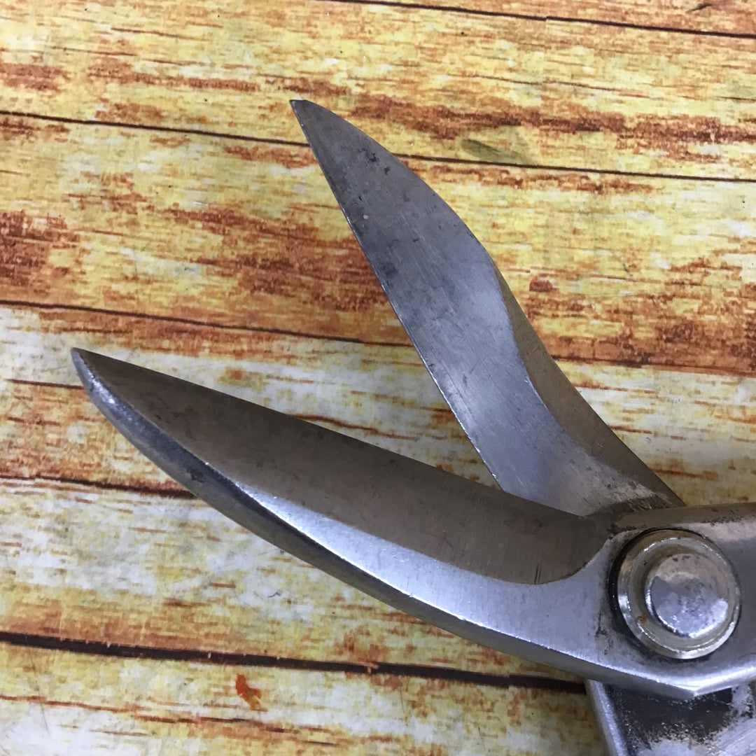 種光 ステン用鋏　全長290mm BGGCUT【川崎店】