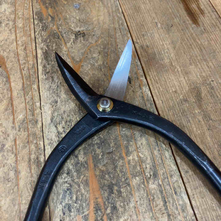◇盛光(MORIMITSU) ステンレス用切箸柳刃240mm HSTS-0124 輝盛光【所沢店】