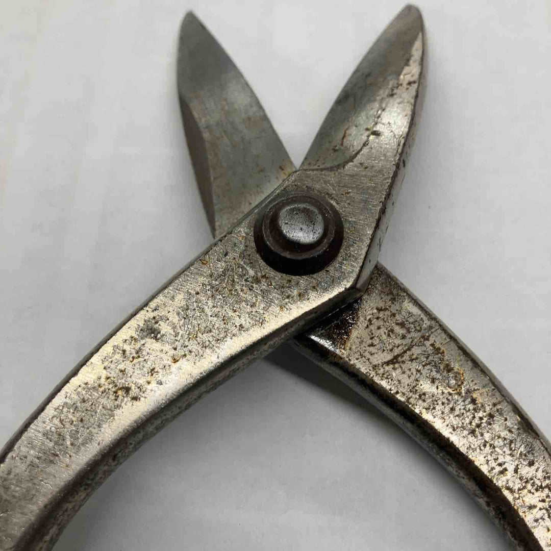 盛光 金切ハサミMR STD 栁刃 全長約270mm 左利き用？HSAP-5124【戸田店】