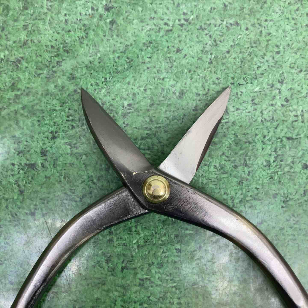 種光 ステン用SLD鋼 柳刃スリム 240mm 刃物鋼SLD【町田店】