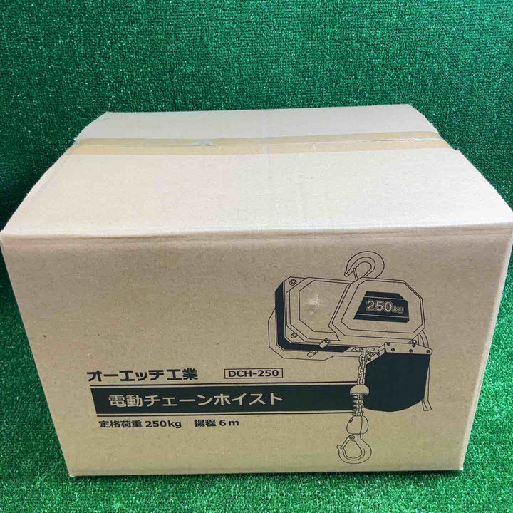 【未使用品(未開封)】 電動チェーンホイスト250 DCH-250 【藤沢店】