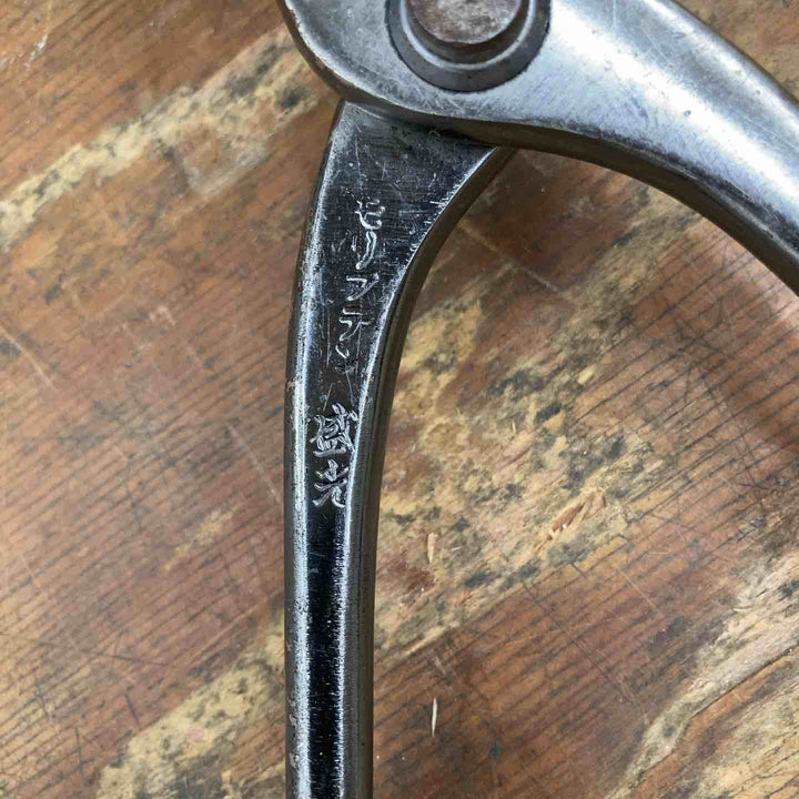 ◇盛光 つかみ箸 全長約270mm 幅約90mm【柏店】