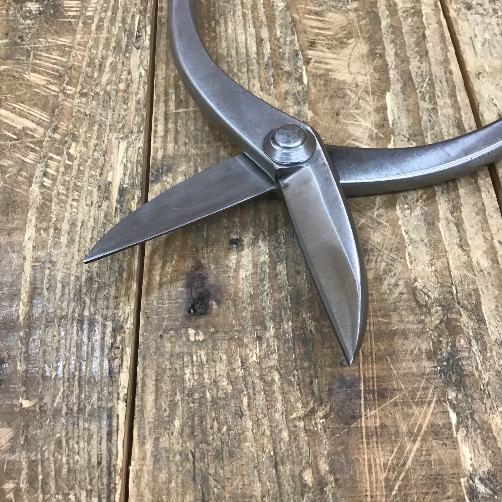 輝盛光 本職用金切鋏 エグリ　210mm 盛光 Amazon | 盛光 寿盛光 エグリ210 本職用金切鋏 HSKO-0221 | ハサミ