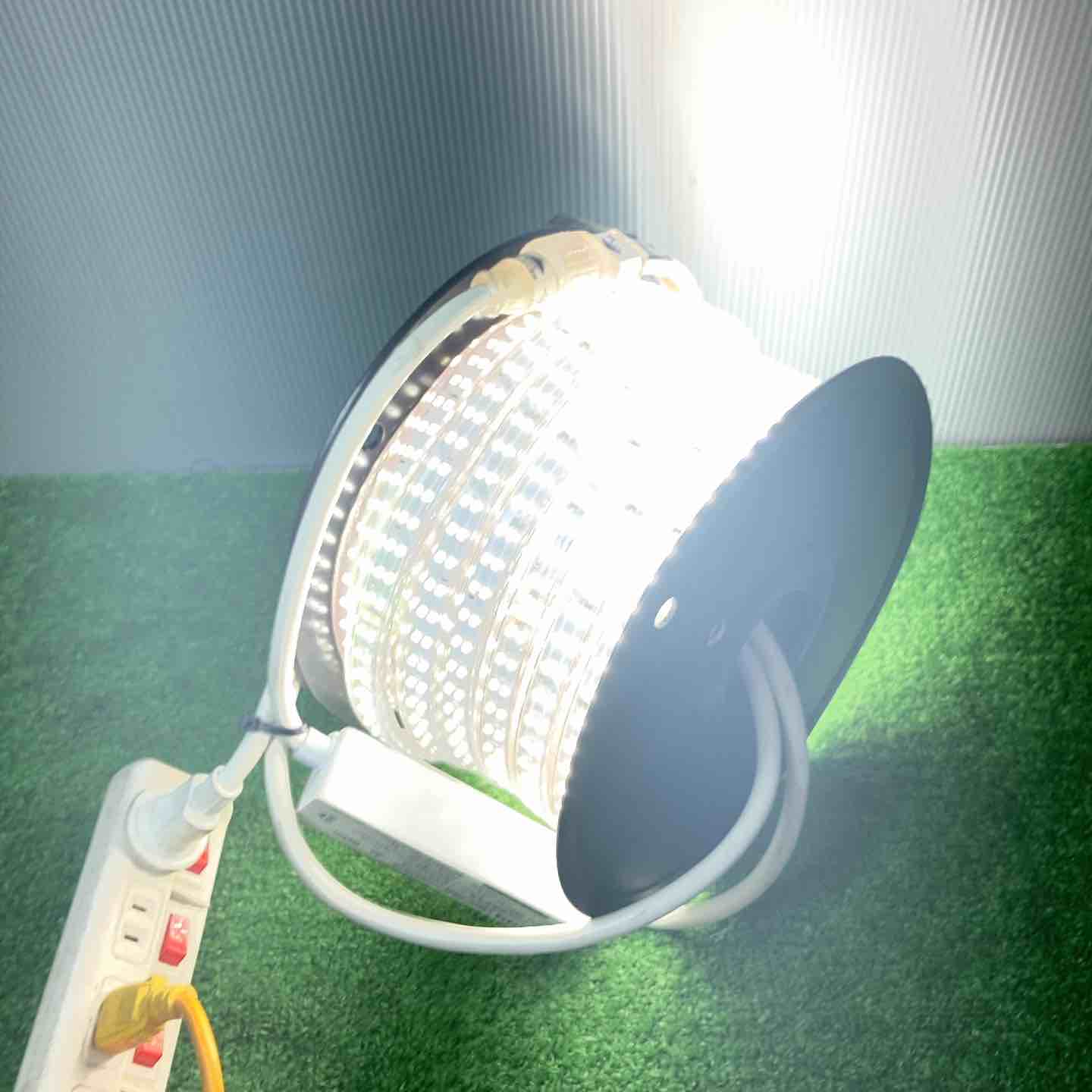 ◇HATAYA LEDテープライト 20ｍ 片面発光タイプ 単体 HLTP-20【岩槻店】 ◇HATAYA LEDテープライト 20m 片面発光タイプ 単体 HLTP-20【岩槻店