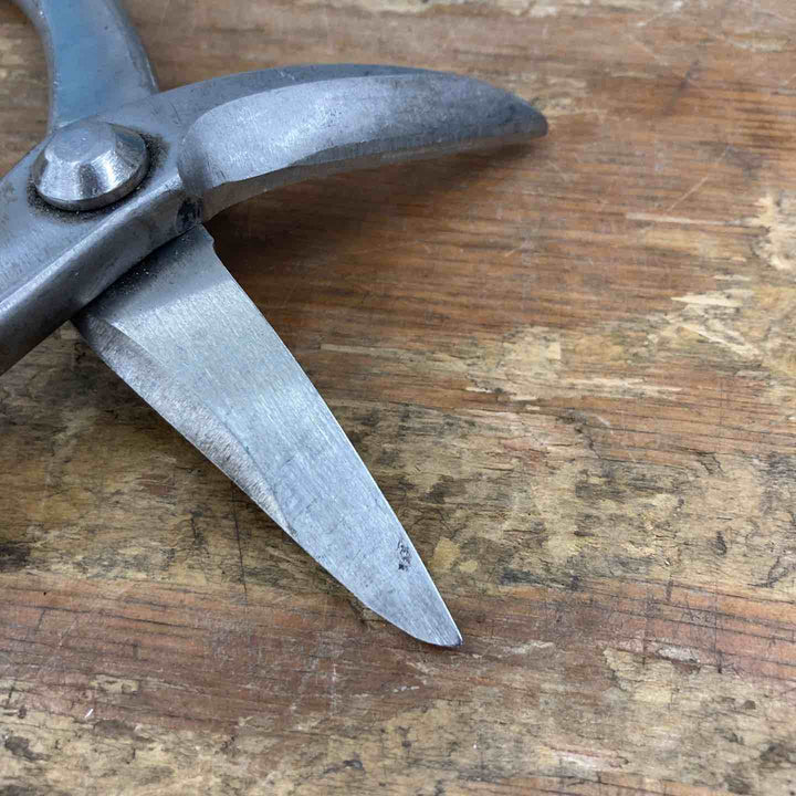 ▼種光 ビックカット コブラ  柳刃 240mm 全長265mm【柏店】