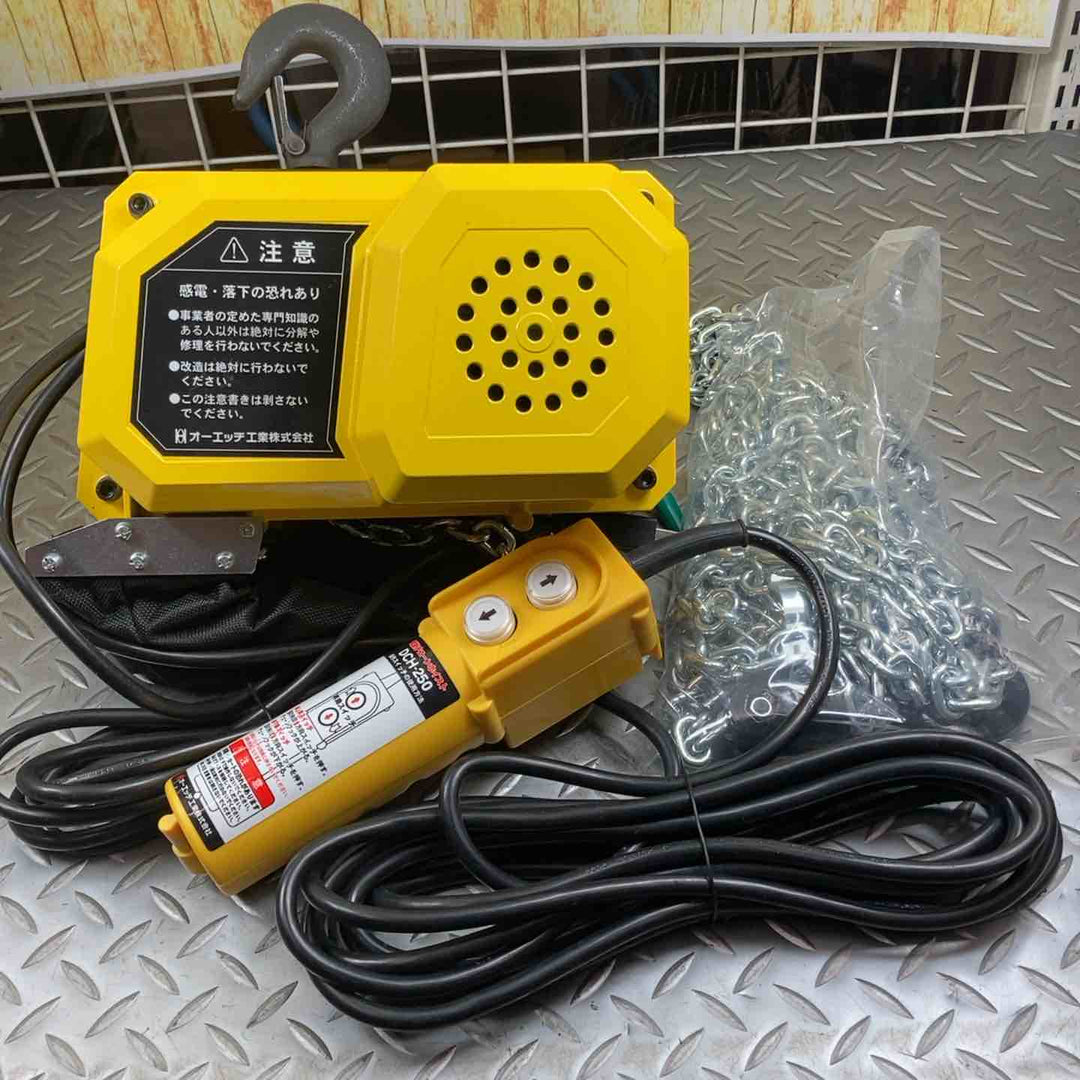 オーエッチ 電動チェーンホイスト モデル：DCH-250 250kg 揚程6m 【川崎店】