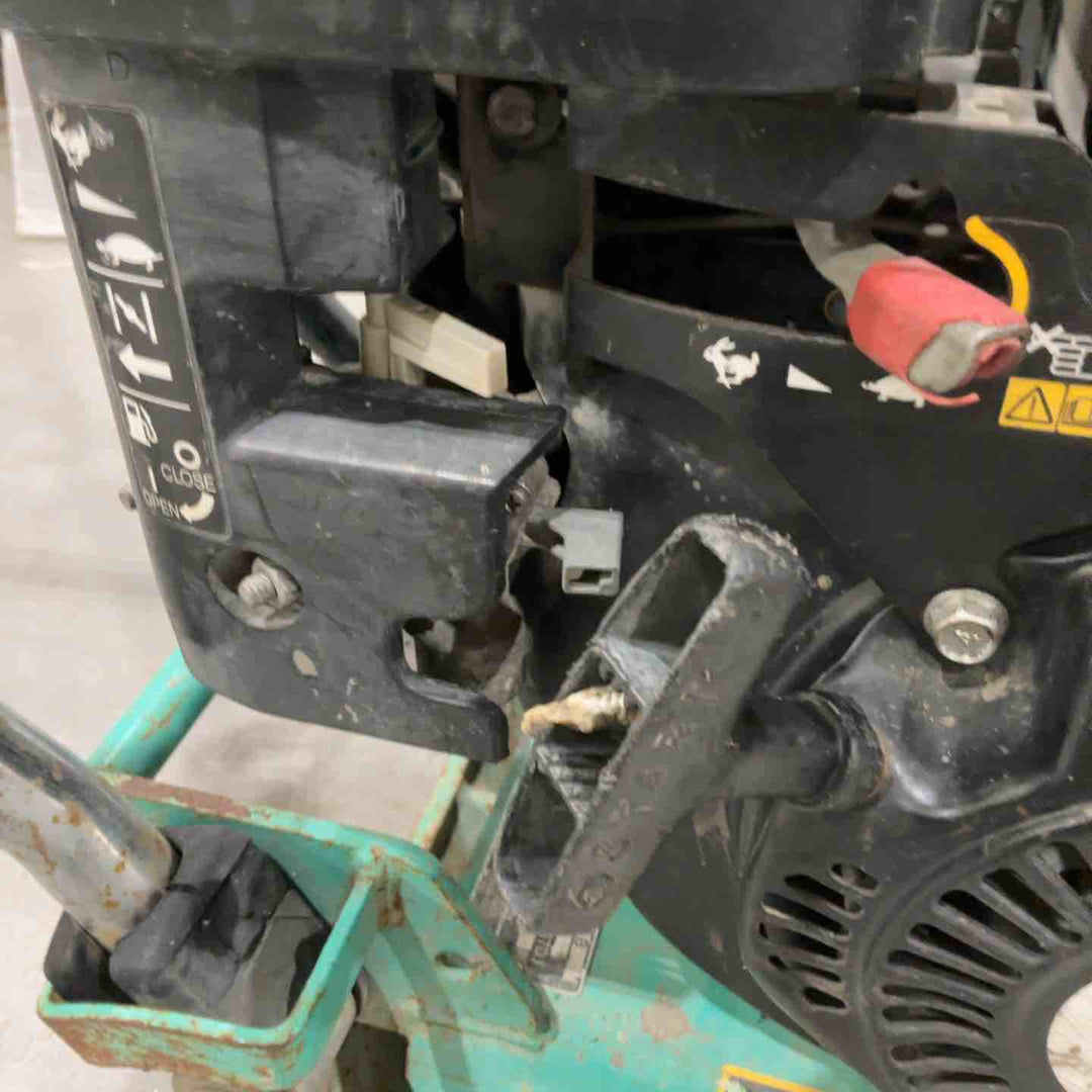 【店頭受取り限定】◇三笠(mikasa) プレート MVC-50GB【川口店】