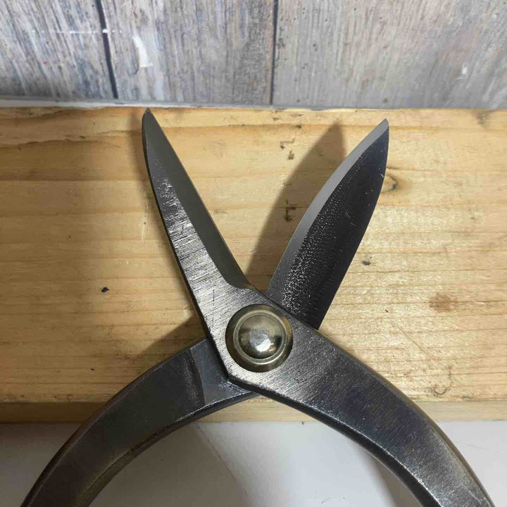 種光　ステン用安来鋼SLD Rマジック鋏210mm No.8194【戸田店】