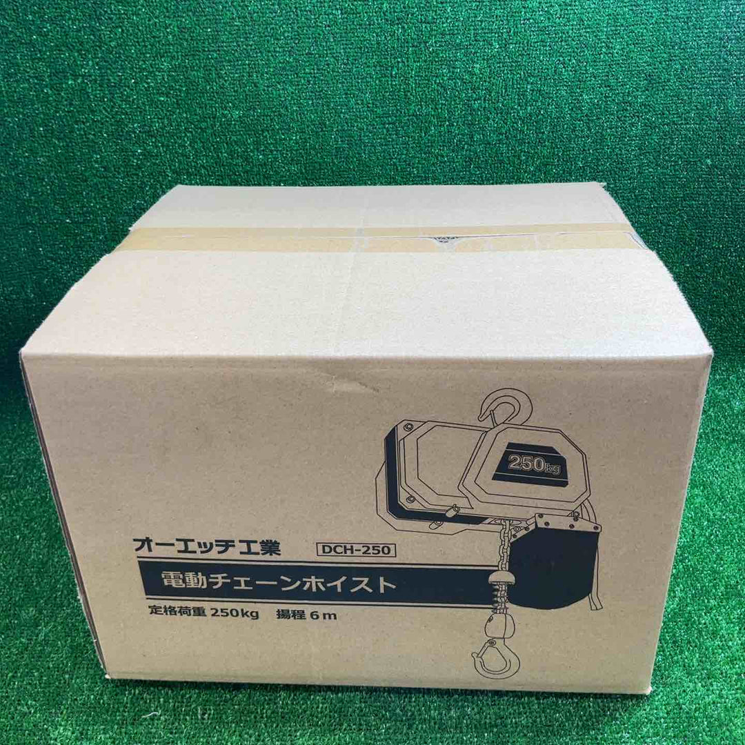 【未使用品(未開封)】 電動チェーンホイスト250 DCH-250 【藤沢店】