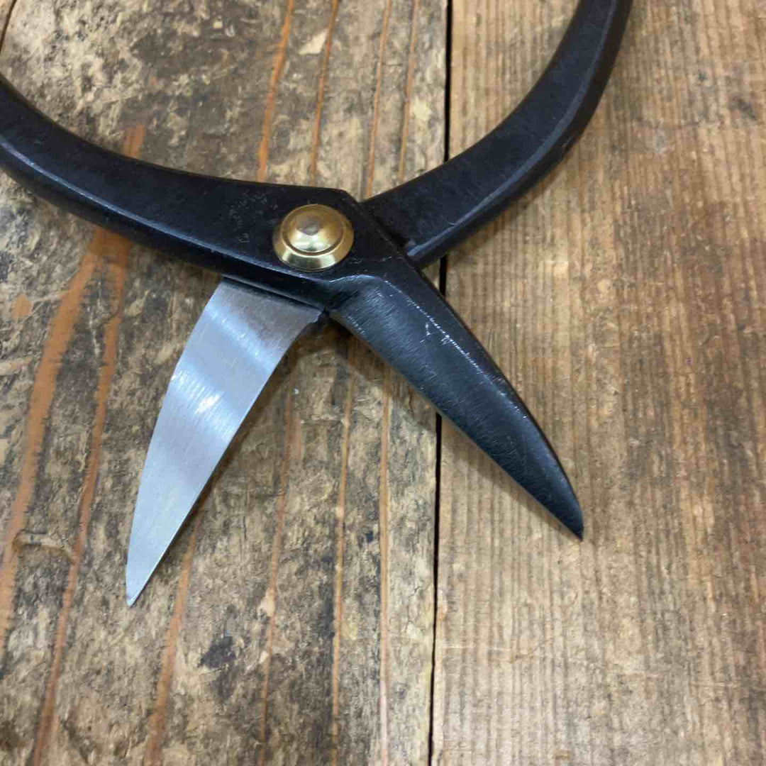 ◇盛光(MORIMITSU) ステンレス用切箸柳刃240mm HSTS-0124 輝盛光【所沢店】