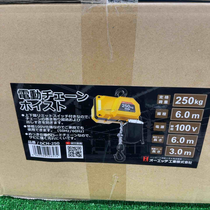 【未使用品(未開封)】 電動チェーンホイスト250 DCH-250 【藤沢店】