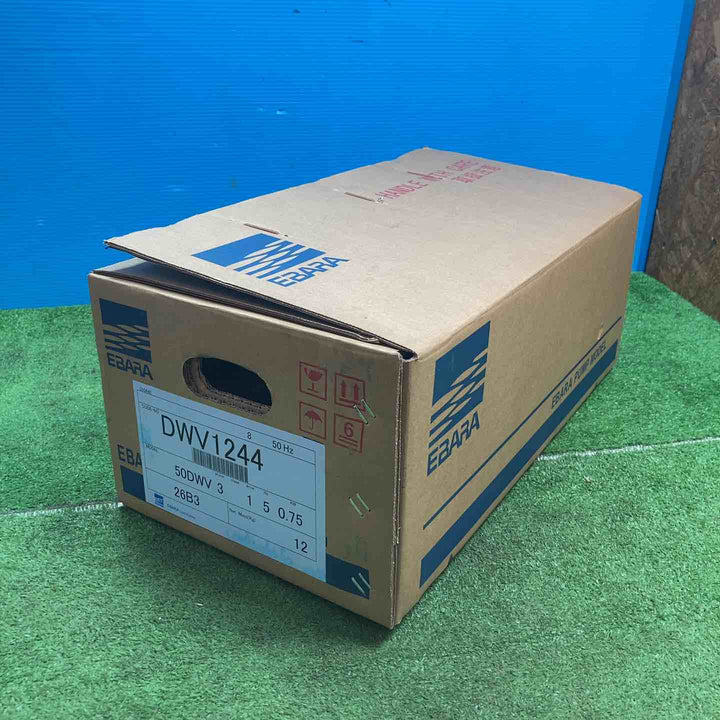 【未使用品(店頭展示品)】◇EBARA 荏原製作所 水中ポンプ DWV1244 非自動型 50DWV5.75B 三相200V ※備考欄参照※【岩槻店】