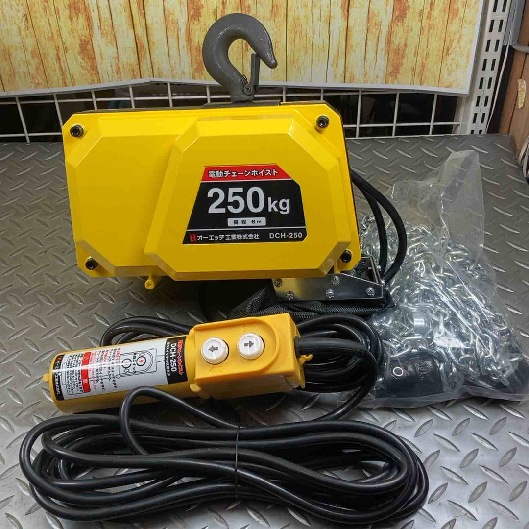 オーエッチ 電動チェーンホイスト モデル：DCH-250 250kg 揚程6m 【川崎店】