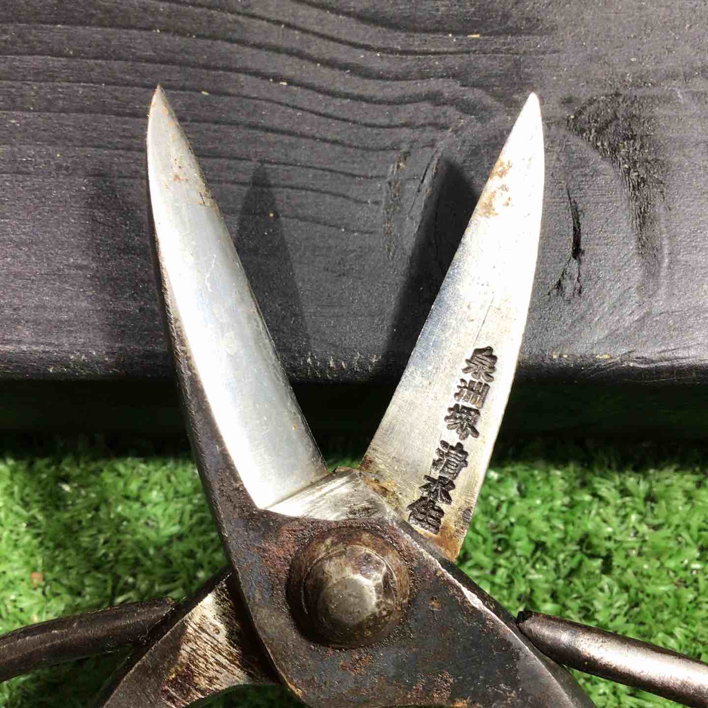 佐助 泉州堺清水住 植木鋏 一寸五分 刃長約45mm 本体のみ 錆あり