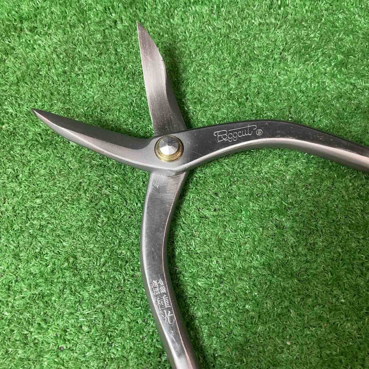 【未使用品(店頭展示品)】◇種光 ビッグカット 柳刃 240mm【岩槻店】