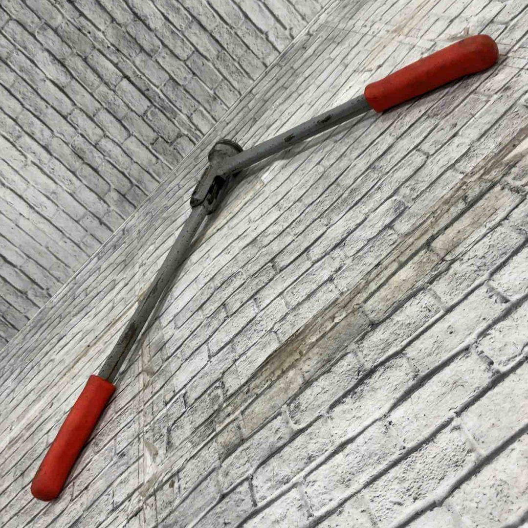 リジッド　エキスパンダー【川口店】