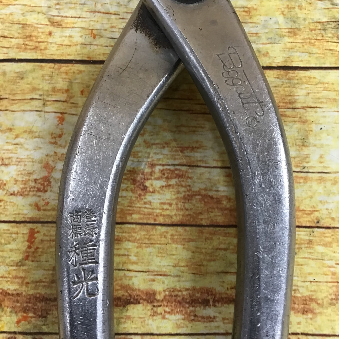 種光 ステン用鋏　全長290mm BGGCUT【川崎店】